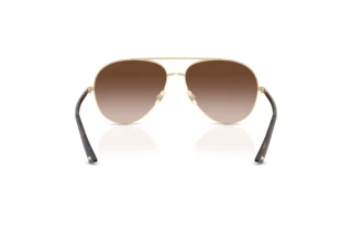 Achteraanzicht Jimmy Choo JC4026 (300613)
