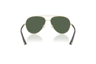 Achteraanzicht Jimmy Choo JC4026 (300671)