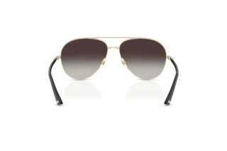 Achteraanzicht Jimmy Choo JC4026 (30068G)