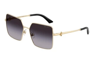 Vooraanzicht Jimmy Choo JC4031B (30068G)