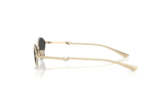 Zijaanzicht Jimmy Choo JC4033H (300687)