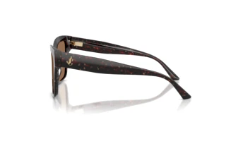 Zijaanzicht Jimmy Choo JC5003 (512573)