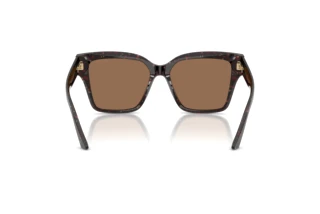 Achteraanzicht Jimmy Choo JC5003 (512573)