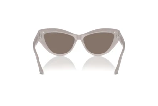 Achteraanzicht Jimmy Choo JC5004 (50465A)