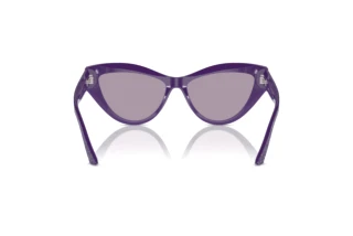 Achteraanzicht Jimmy Choo JC5004 (50482S)