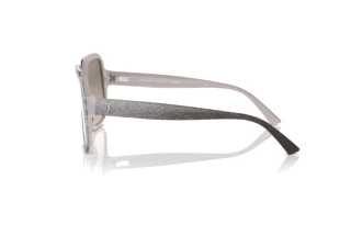Zijaanzicht Jimmy Choo JC5005 (50426I)