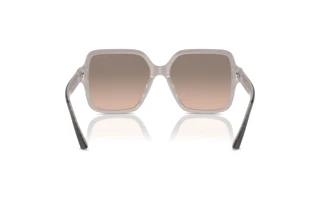 Achteraanzicht Jimmy Choo JC5005 (50426I)