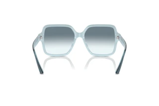 Achteraanzicht Jimmy Choo JC5005 (504319)
