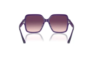 Achteraanzicht Jimmy Choo JC5005 (50447W)