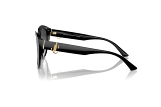 Zijaanzicht Jimmy Choo JC5007 (50008G)