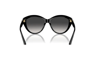 Achteraanzicht Jimmy Choo JC5007 (50008G)