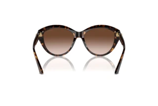 Achteraanzicht Jimmy Choo JC5007 (500213)