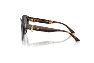 Zijaanzicht Jimmy Choo JC5007 (50028F)