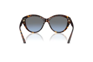 Achteraanzicht Jimmy Choo JC5007 (50028F)