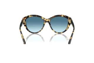 Achteraanzicht Jimmy Choo JC5007 (500419)
