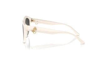 Zijaanzicht Jimmy Choo JC5007 (50088G)
