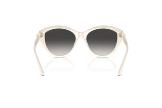 Achteraanzicht Jimmy Choo JC5007 (50088G)