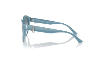 Zijaanzicht Jimmy Choo JC5007 (501219)