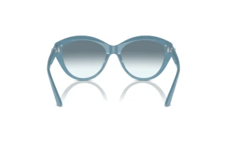 Achteraanzicht Jimmy Choo JC5007 (501219)