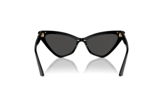 Achteraanzicht Jimmy Choo JC5008 (500087)