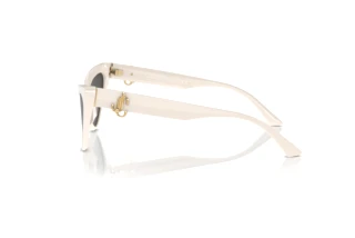 Zijaanzicht Jimmy Choo JC5008 (500887)