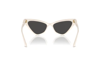 Achteraanzicht Jimmy Choo JC5008 (500887)