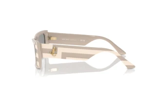 Zijaanzicht Jimmy Choo JC5009 (5030/1)