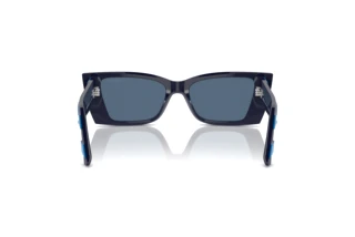 Achteraanzicht Jimmy Choo JC5009 (503180)