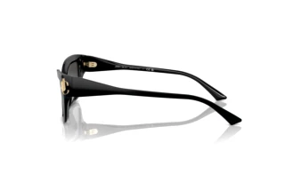Zijaanzicht Jimmy Choo JC5011U (500087)