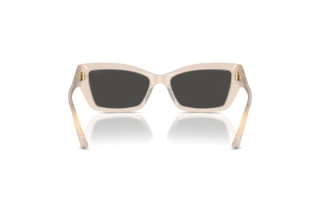 Achteraanzicht Jimmy Choo JC5011U (502587)