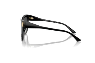 Zijaanzicht Jimmy Choo JC5012 (50008G)