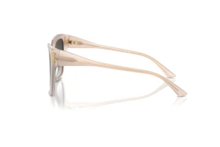 Zijaanzicht Jimmy Choo JC5012 (50258G)