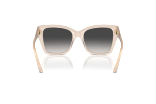 Achteraanzicht Jimmy Choo JC5012 (50258G)