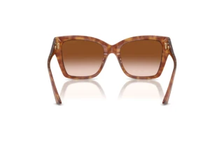 Achteraanzicht Jimmy Choo JC5012 (511413)