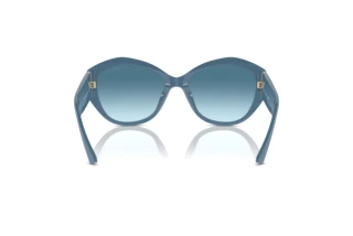 Achteraanzicht Jimmy Choo JC5013U (502019)