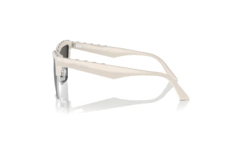 Zijaanzicht Jimmy Choo JC5014 (500887)