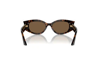 Achteraanzicht Jimmy Choo JC5015U (500273)