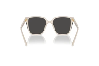 Achteraanzicht Jimmy Choo JC5016D (500887)
