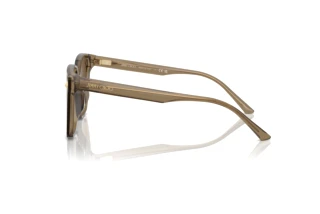Zijaanzicht Jimmy Choo JC5016D (505173)