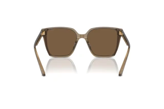 Achteraanzicht Jimmy Choo JC5016D (505173)