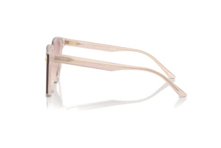 Zijaanzicht Jimmy Choo JC5016D (505268)