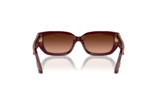 Achteraanzicht Jimmy Choo JC5017 (50135M)
