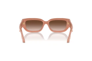 Achteraanzicht Jimmy Choo JC5017 (503213)