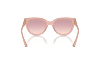Achteraanzicht Jimmy Choo JC5018U (502768)