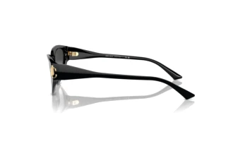Zijaanzicht Jimmy Choo JC5019 (50008G)