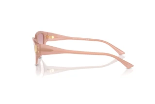 Zijaanzicht Jimmy Choo JC5019 (502768)