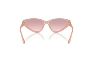 Achteraanzicht Jimmy Choo JC5019 (502768)