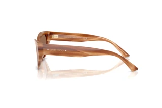 Zijaanzicht Jimmy Choo JC5022B (505573)