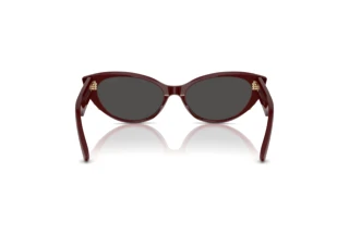 Achteraanzicht Jimmy Choo JC5023H (505787)