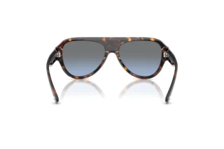 Achteraanzicht Jimmy Choo JC5027 (50028F)